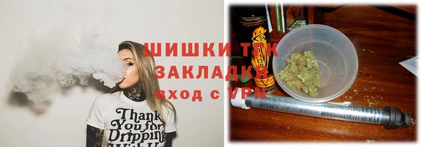 ешки Арсеньев