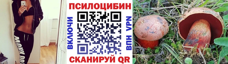 Псилоцибиновые грибы GOLDEN TEACHER  Благодарный 