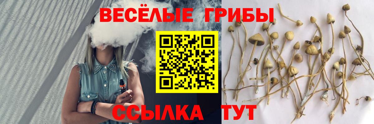 Псилоцибиновые грибы ЛСД Благодарный